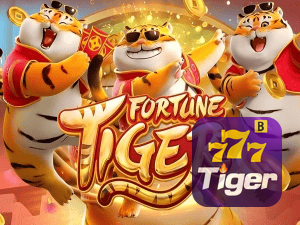 Passo a passo para baixar o app 77 TIGER — ilustração editorial